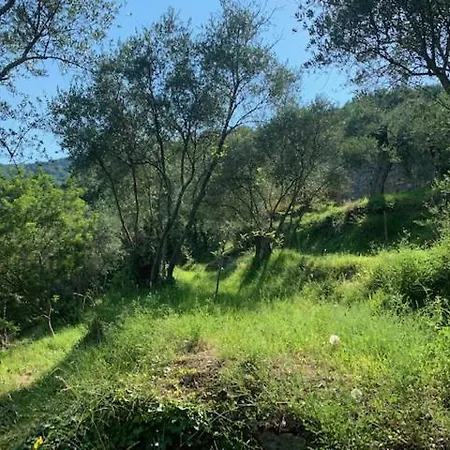 Villa Lenivada Dolceacqua