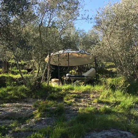 Lenivada
